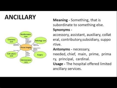 ancillary pronunciation|what does ancillary mean in medical terms.